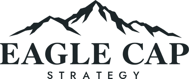 Eagle Cap Strategy